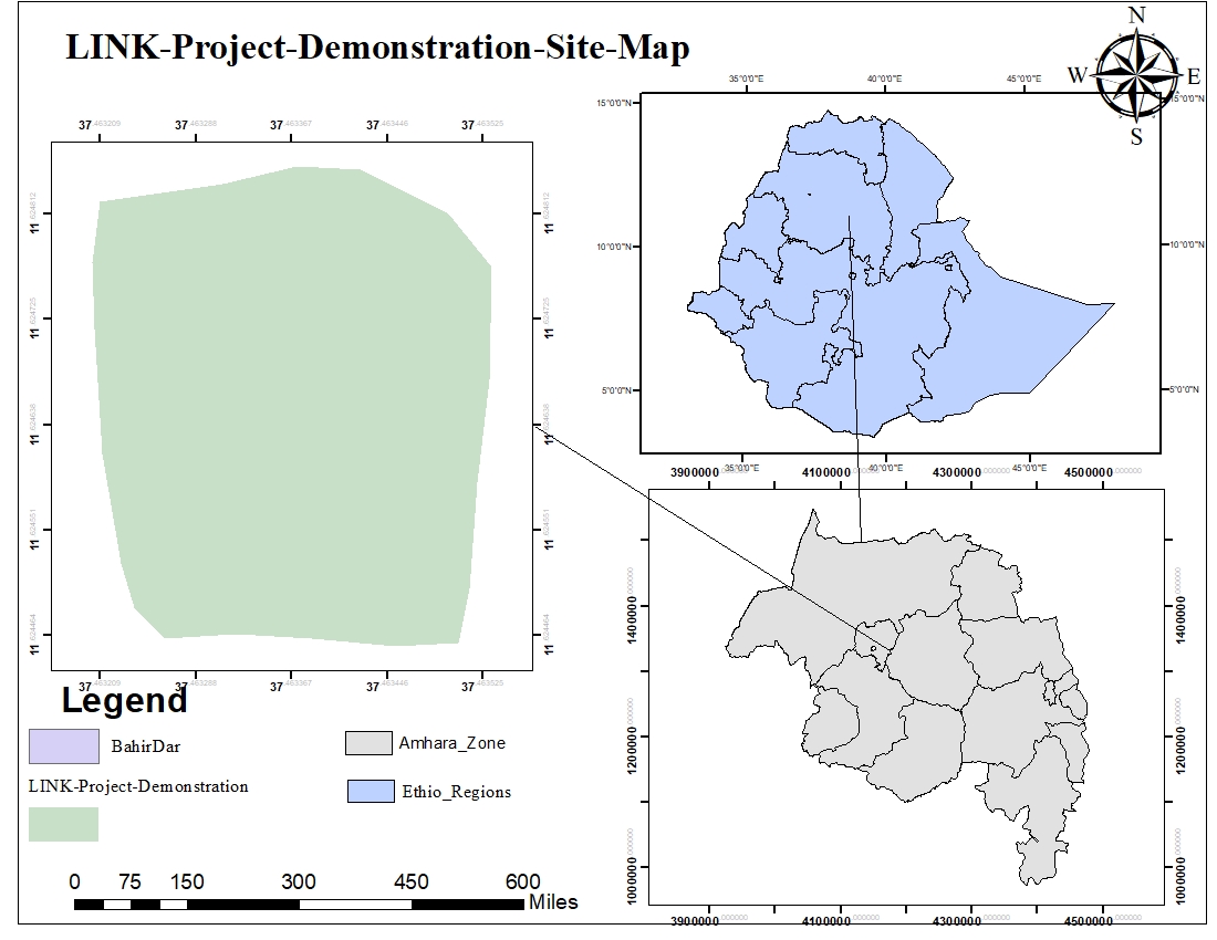 Home Bahir Dar University APPEAR 351 Project