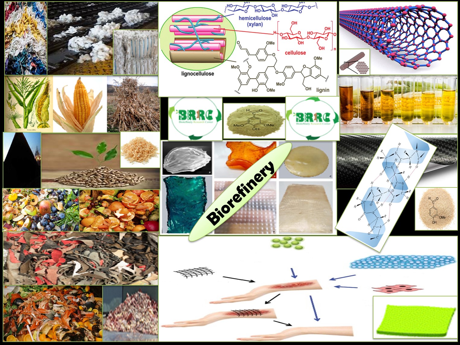 Biorefinery Research Center Picture