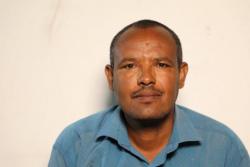 Molla Jemberie Alemineh (PhD)