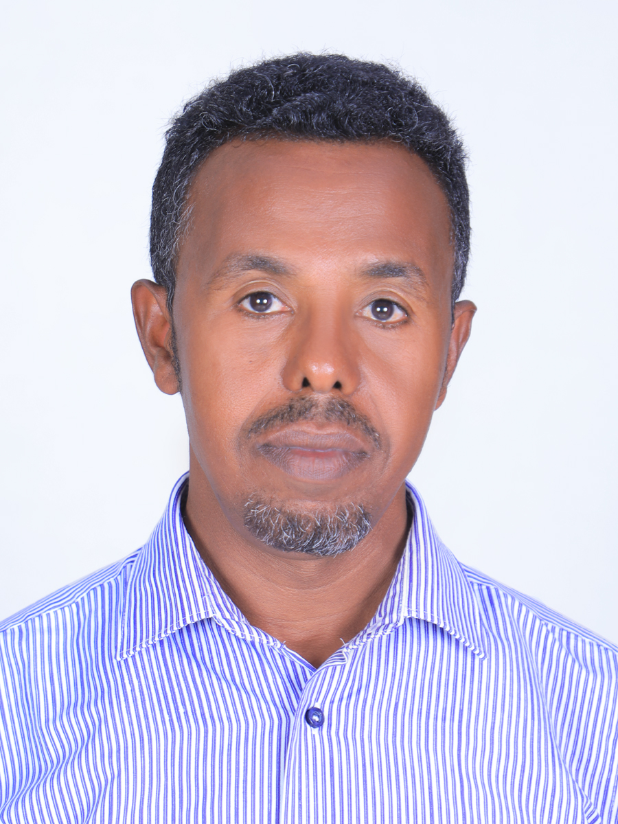 tibebu