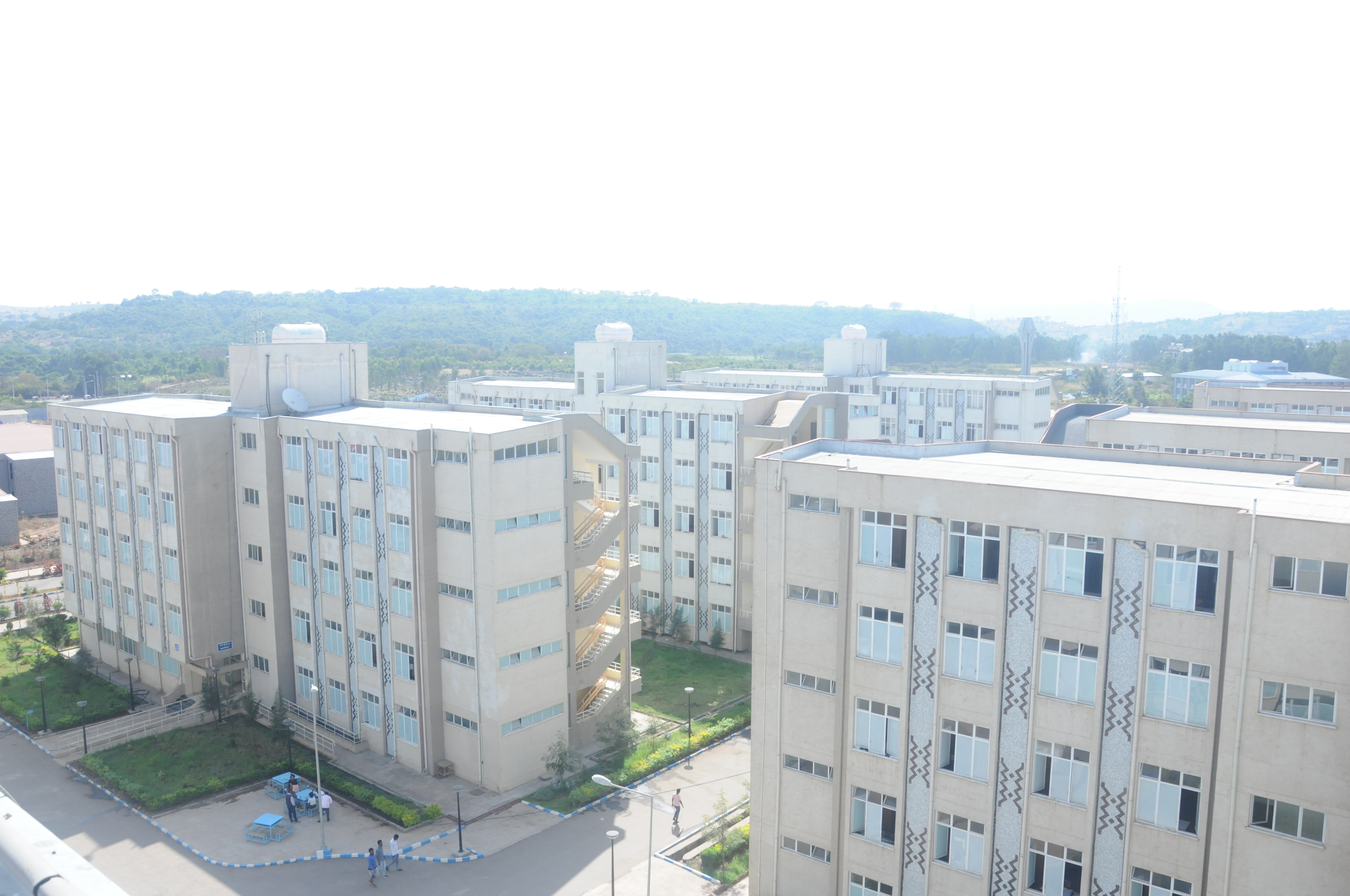 Selam Campus