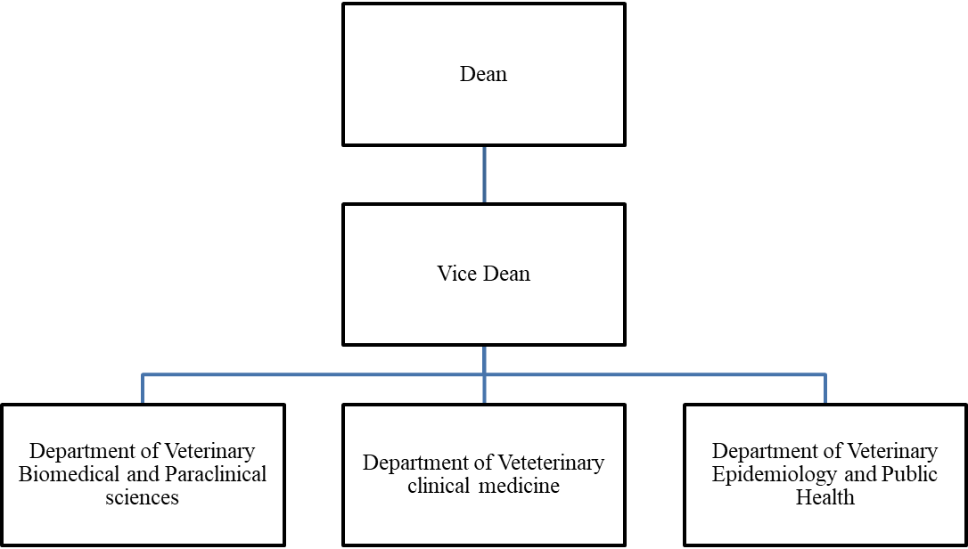 organizational structure